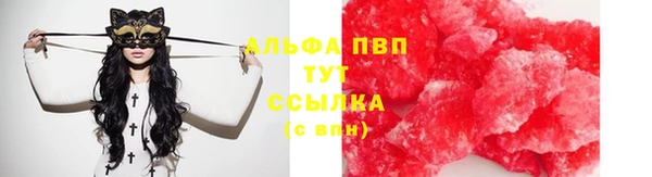 крисы Алзамай