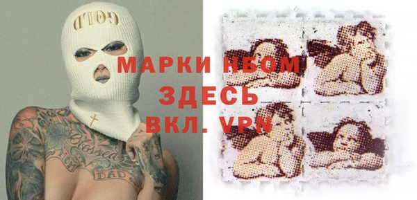 крисы Алзамай