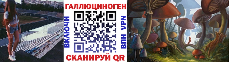 Псилоцибиновые грибы Cubensis  Звенигород 