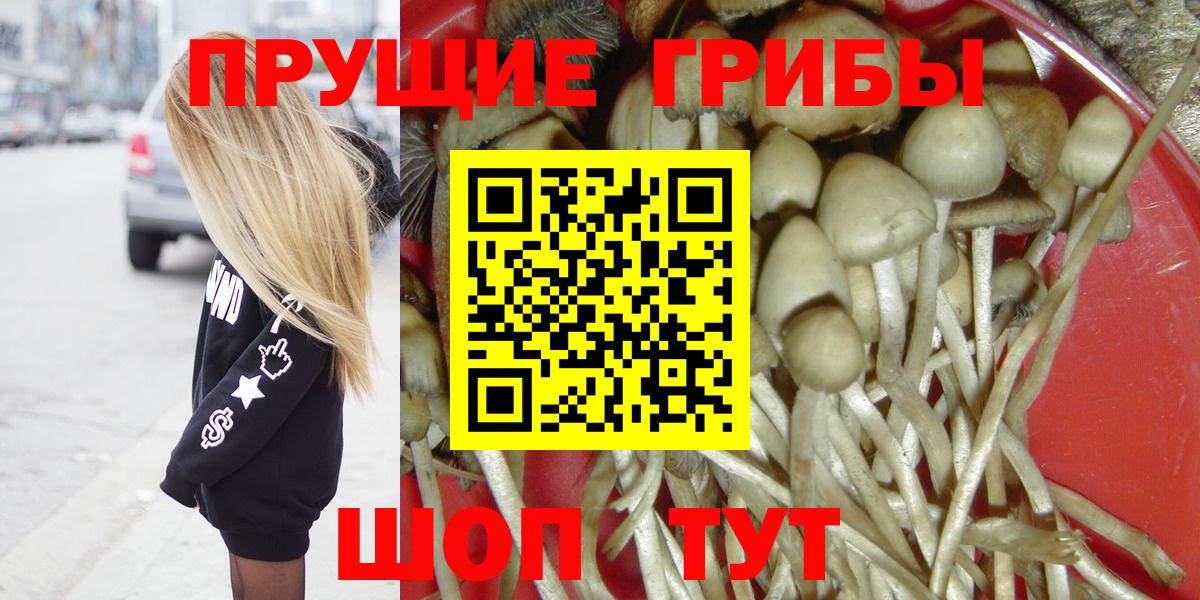 как найти закладки  Вход с VPN  Звенигород  Галлюциногенные грибы GOLDEN TEACHER 